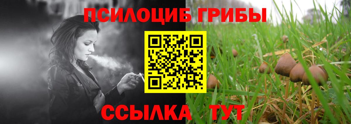 Псилоцибиновые грибы ЛСД Конаково